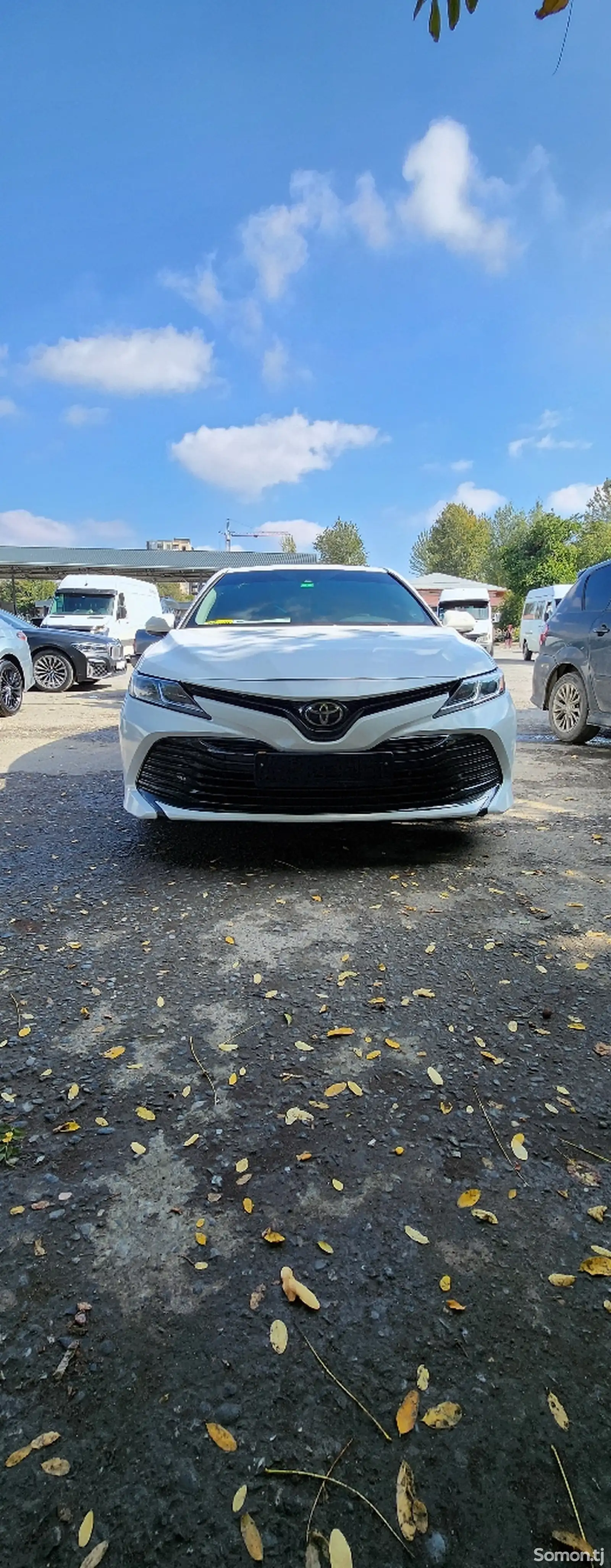 Toyota Camry, 2020-1