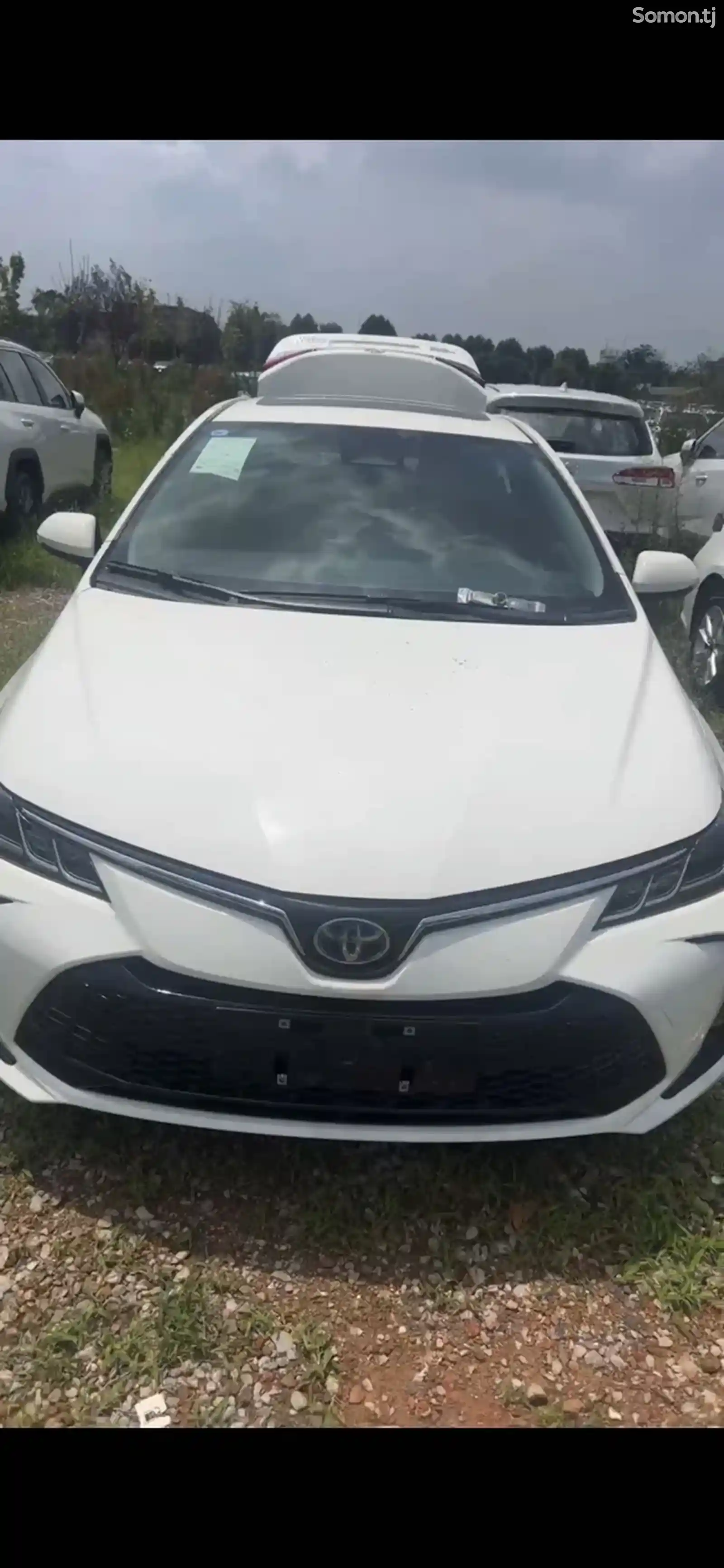 Toyota Corolla, 2024-1