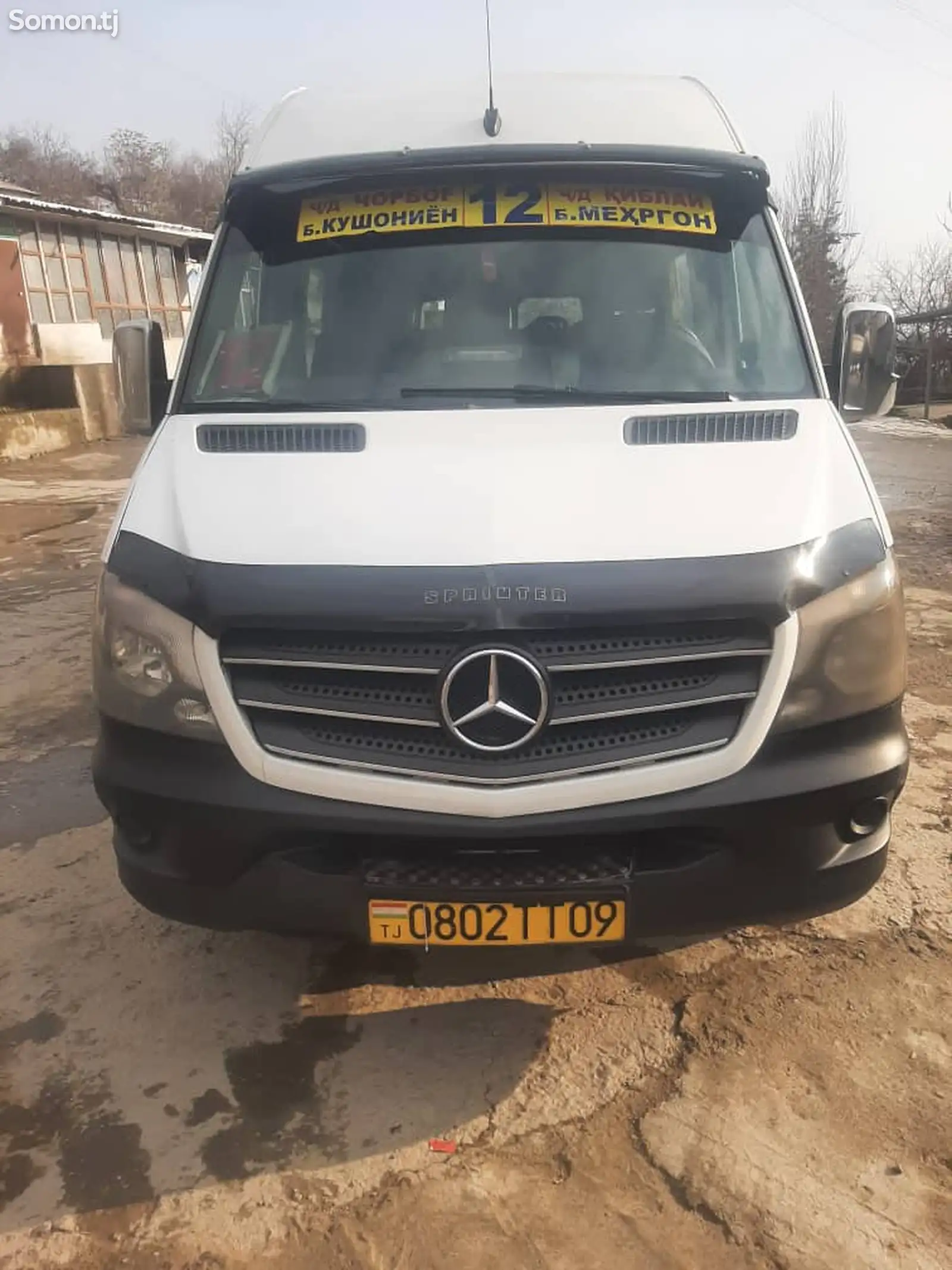 Микроавтобус Mercedes Benz Sprinter, 2009-1