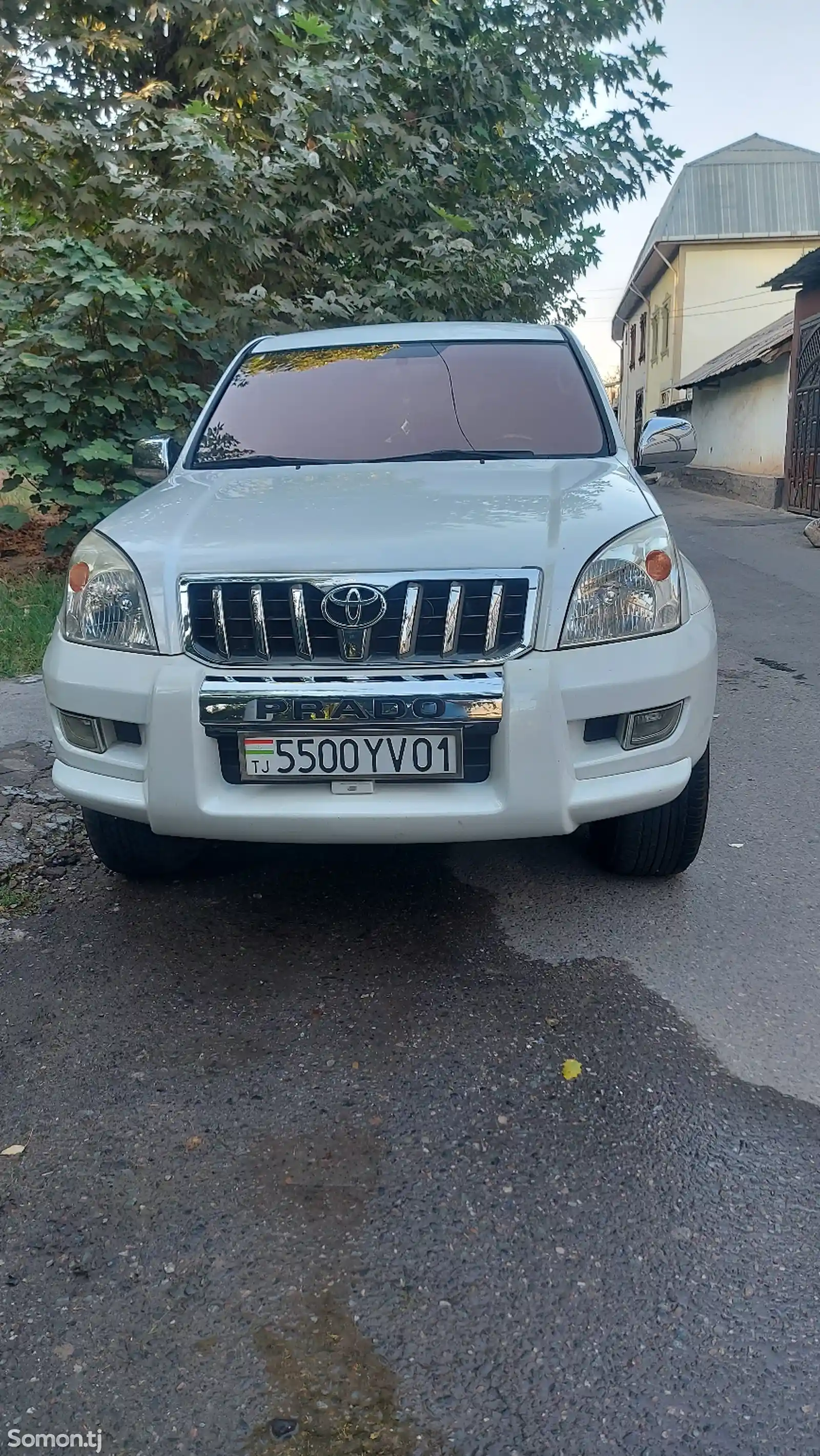 Toyota Land Cruiser Prado, 2008-1