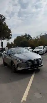 BYD Qin, 2024-2