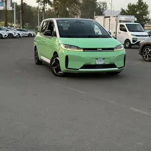 BYD Другие модели, 2021