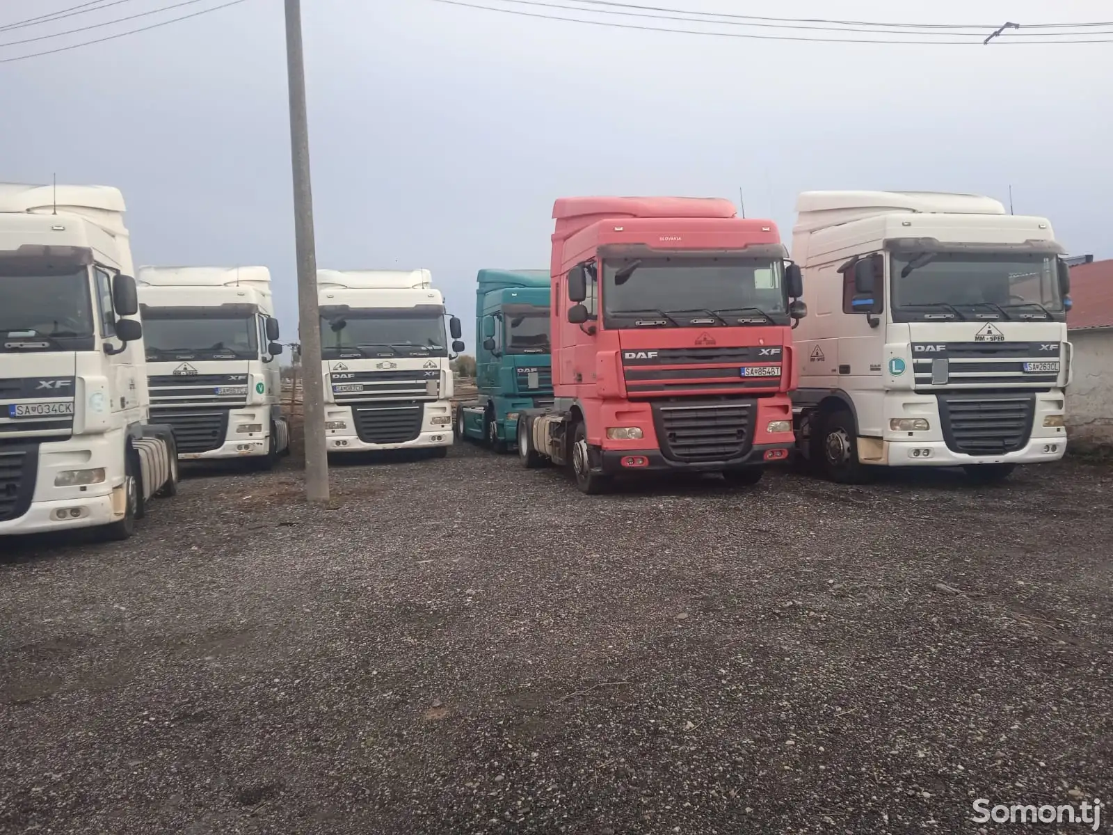 Седельный тягач DAF 105/410 , 2007-1