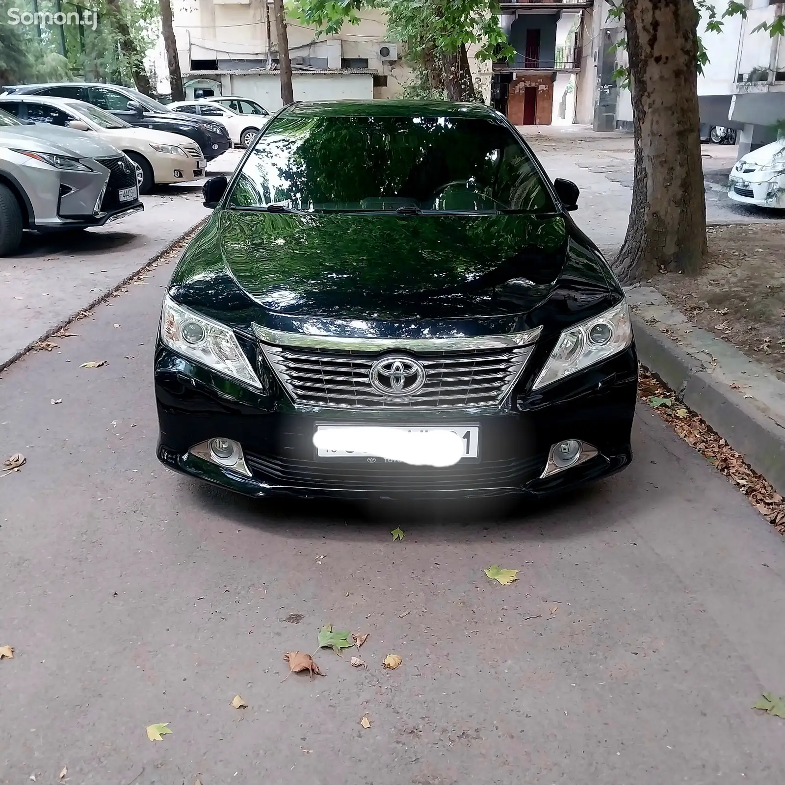 Toyota Camry, 2013-1