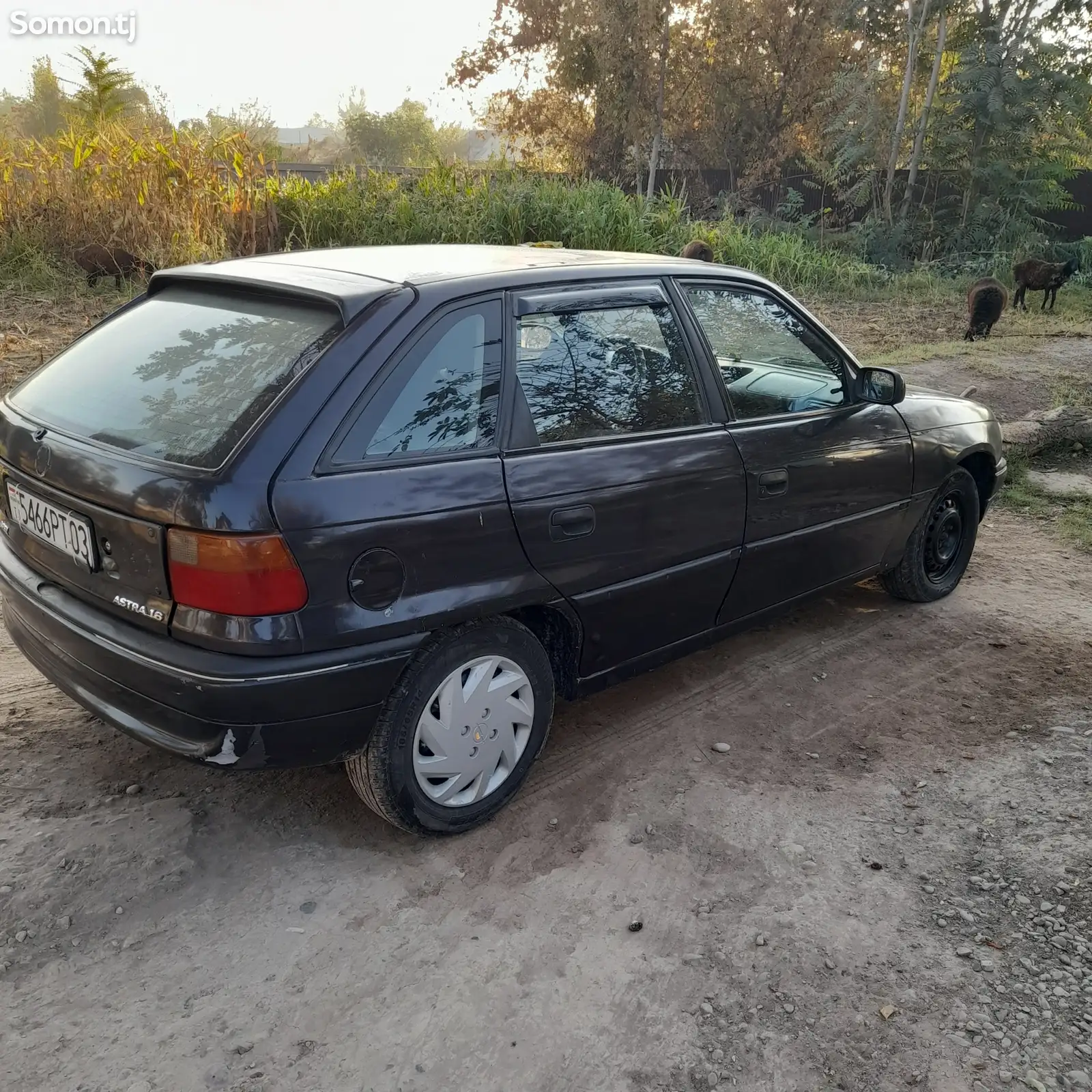 Opel Astra F, 1995-2