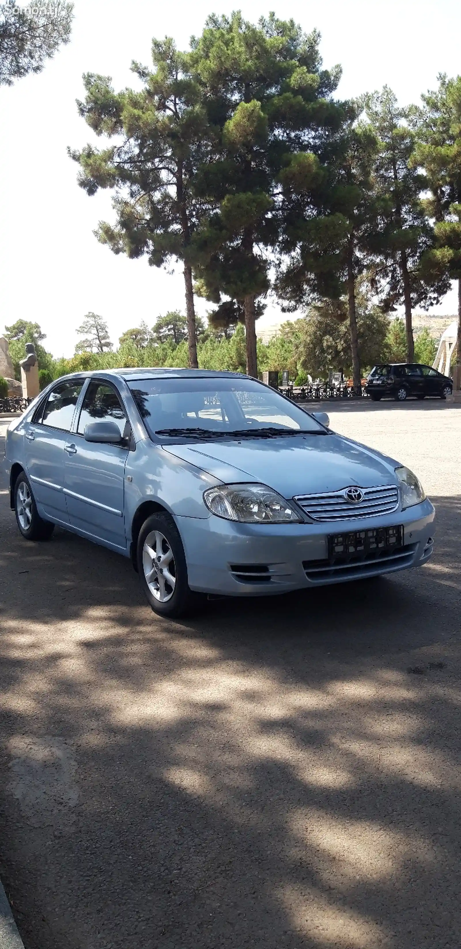 Toyota Corolla, 2006-10