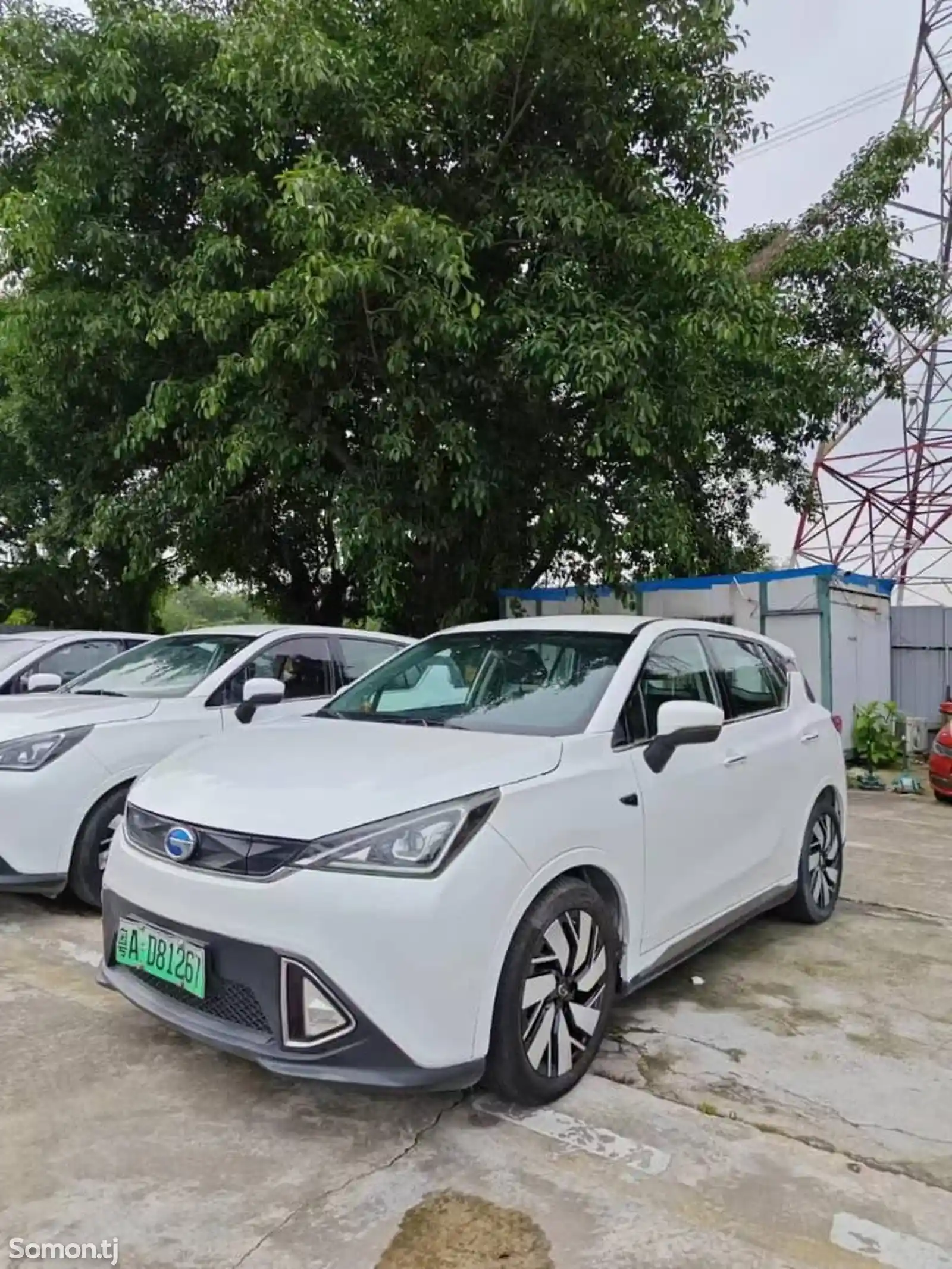 BYD E2, 2019-1