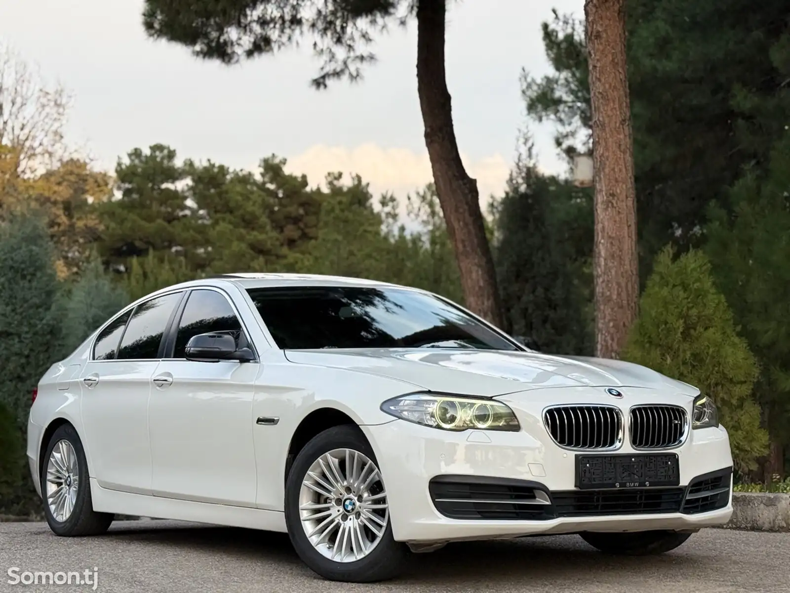 BMW 5 series, 2015-1