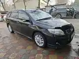 Toyota Fielder, 2009-8