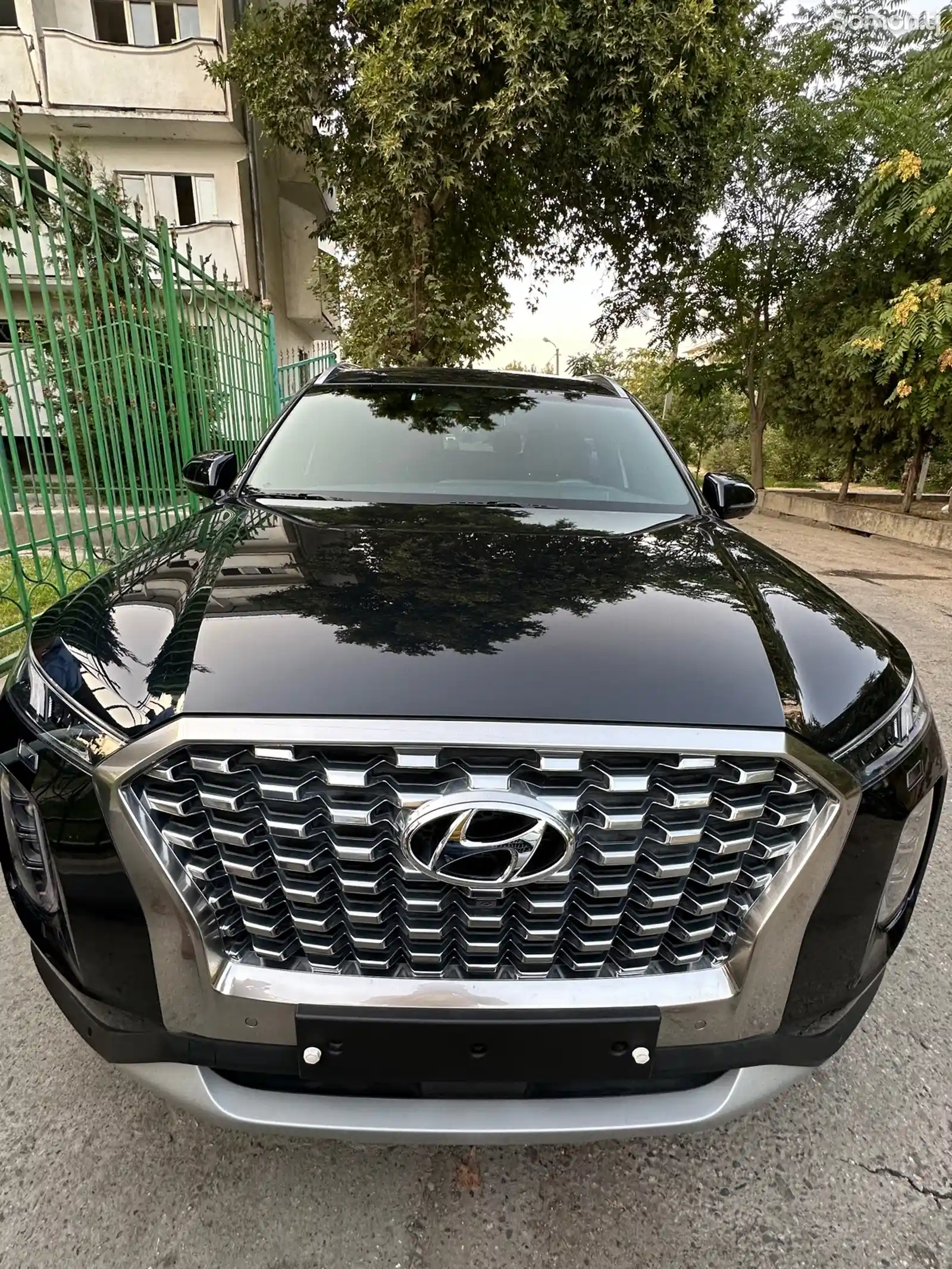 Hyundai Palisade, 2019-1