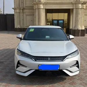 BYD Song, 2024