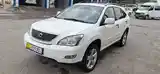 Lexus RX series, 2007-2