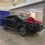 BYD Song Plus Flagship, 2024-3