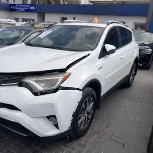 Toyota RAV 4, 2017