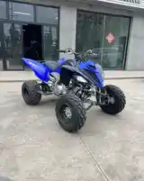 Квадроцикл Yamaha Raptor 700R-2