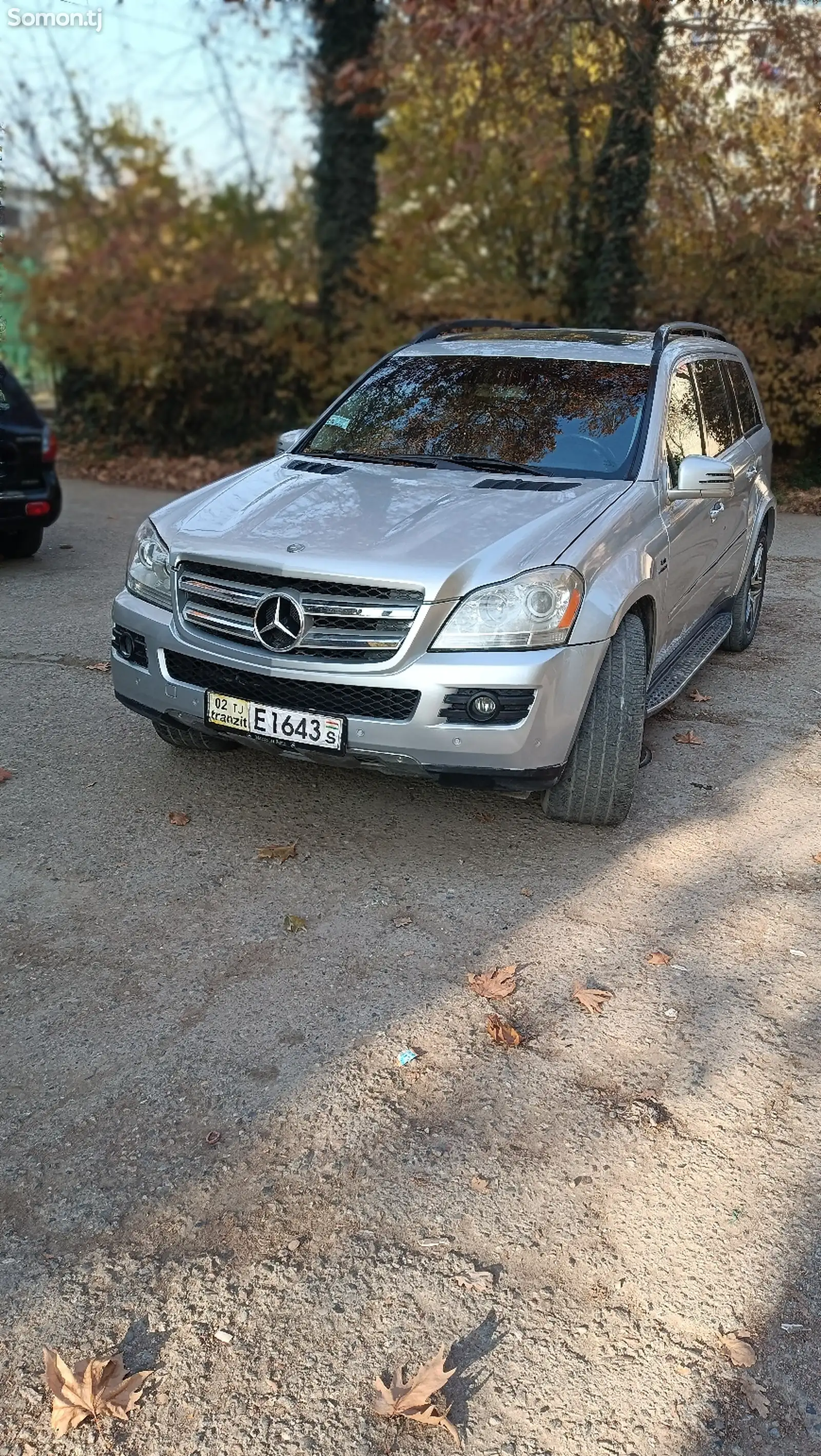 Mercedes-Benz GL class, 2007-1