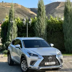 Lexus NX series, 2018