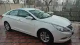 Hyundai Sonata, 2010-4