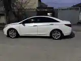 Hyundai Sonata, 2010-3