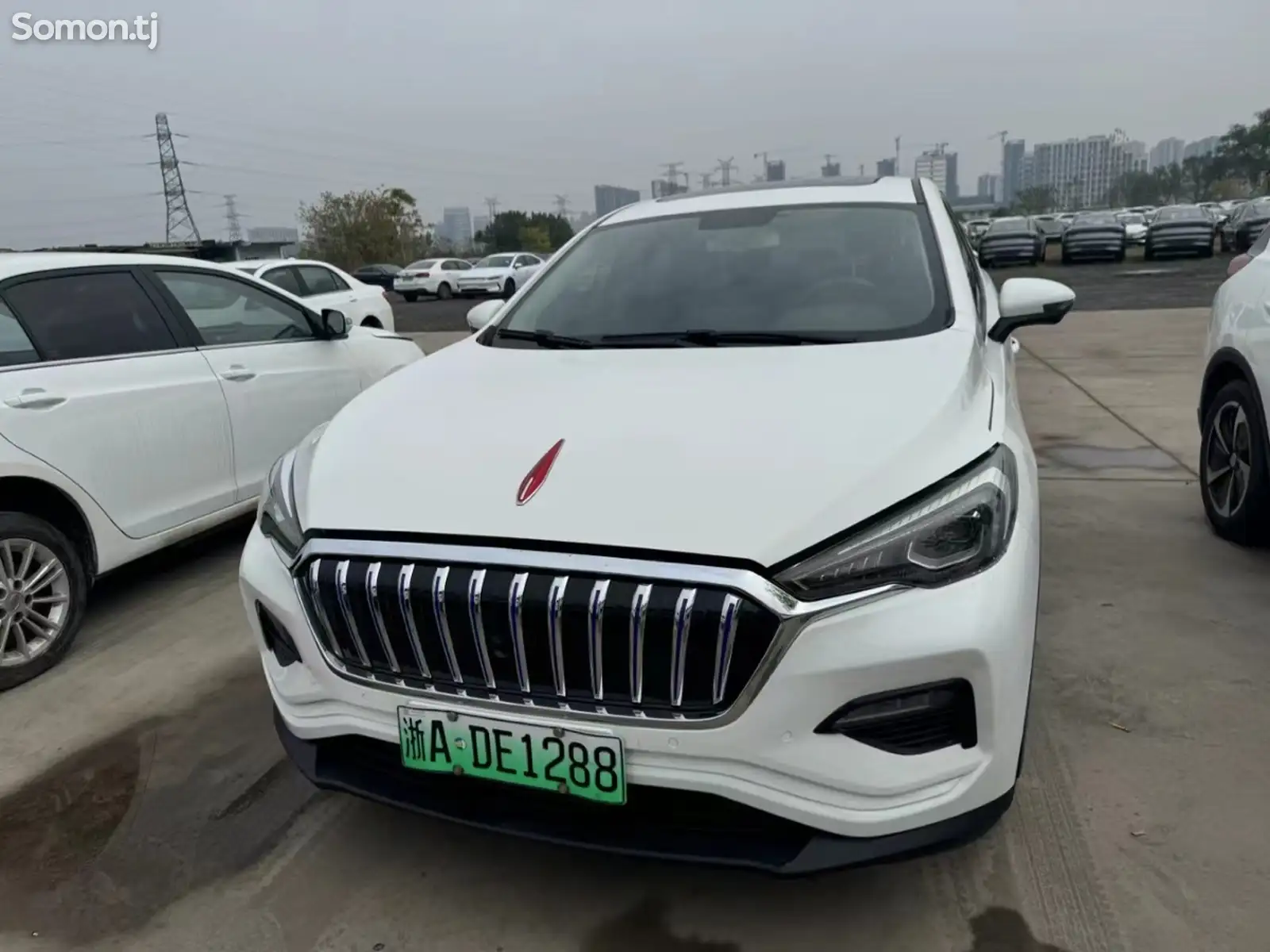 Hongqi E-HS3, 2019-1