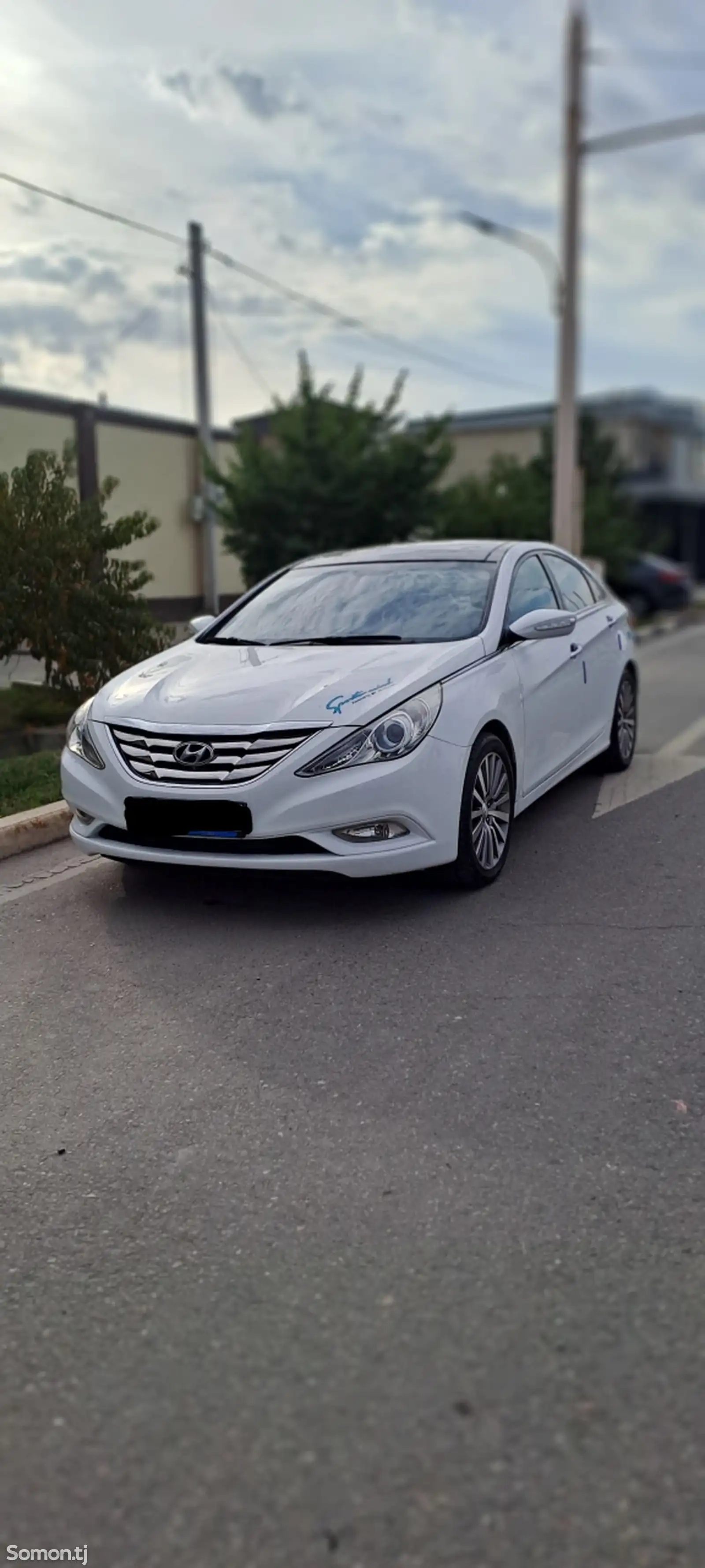 Hyundai Sonata, 2010-1