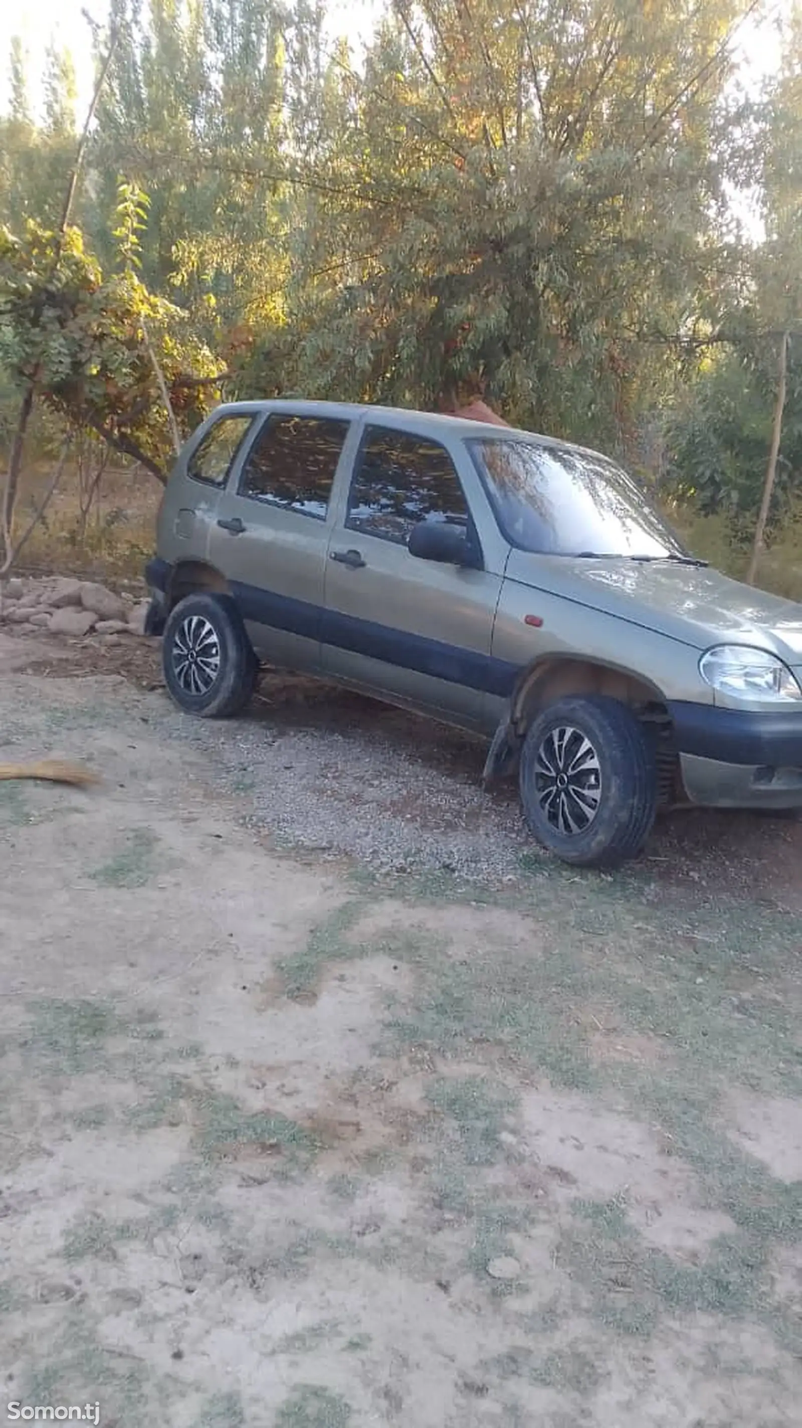 Chevrolet Niva, 2008-1