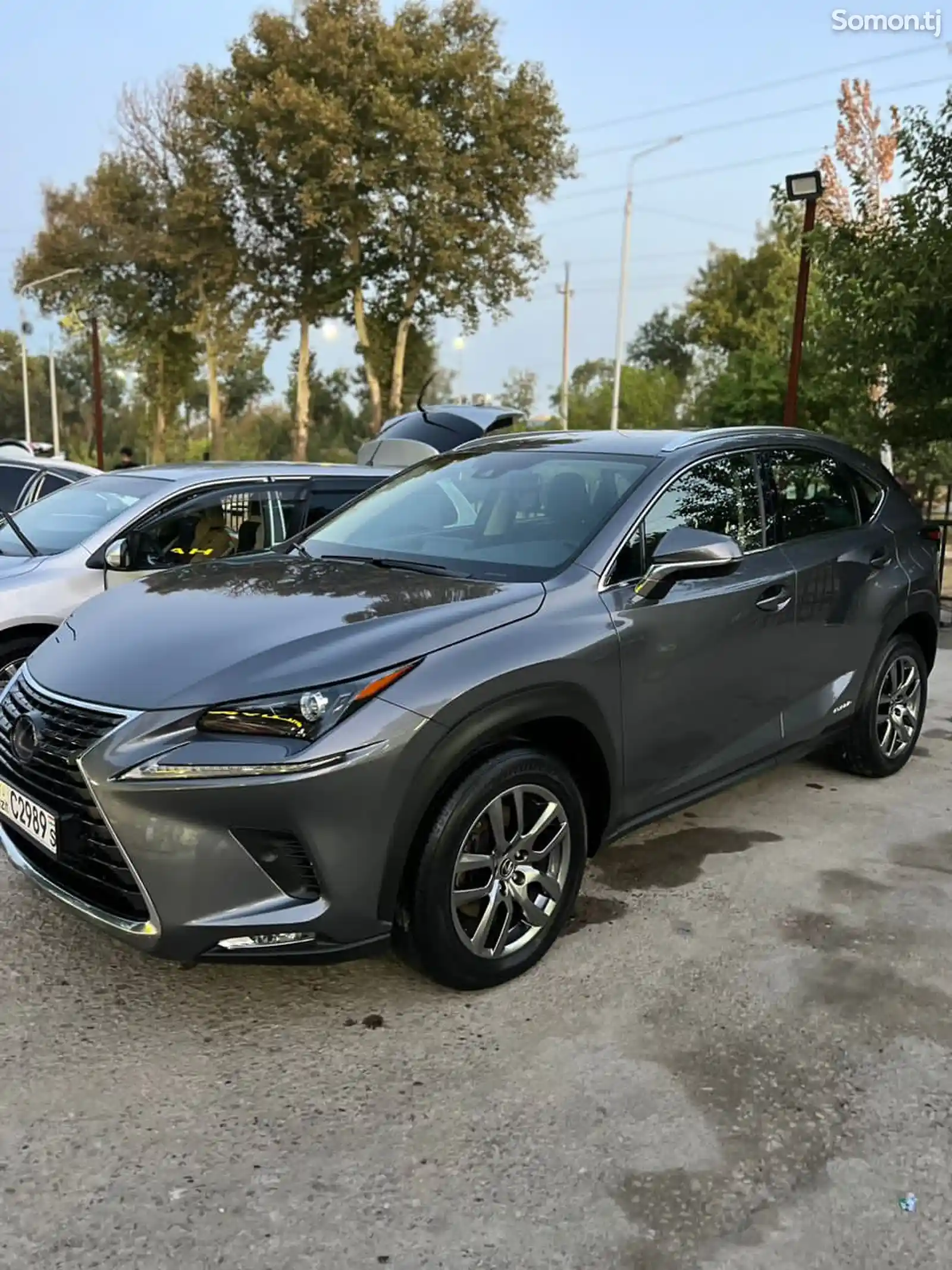 Lexus NX series, 2022-2