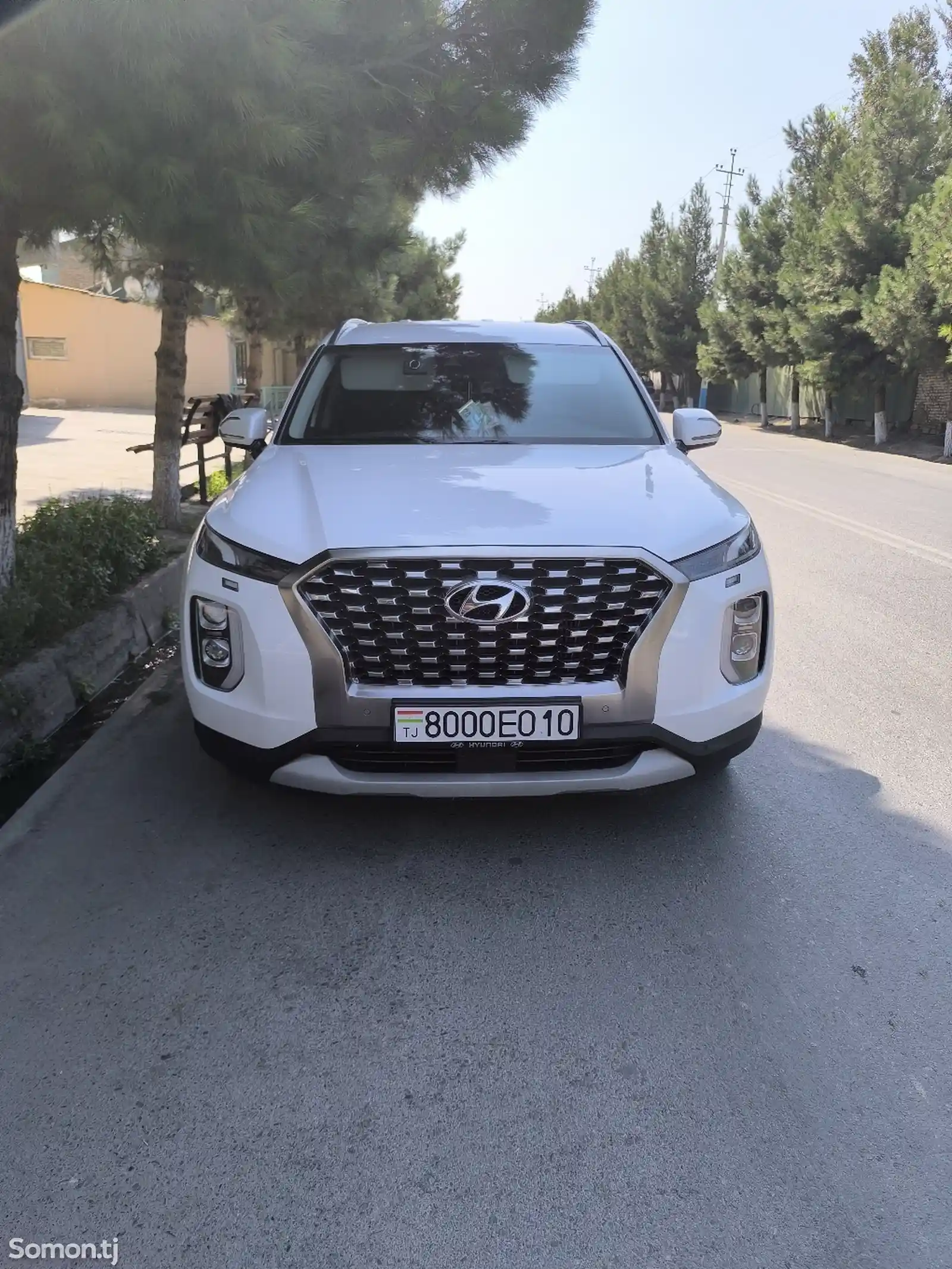 Hyundai Palisade, 2019-10