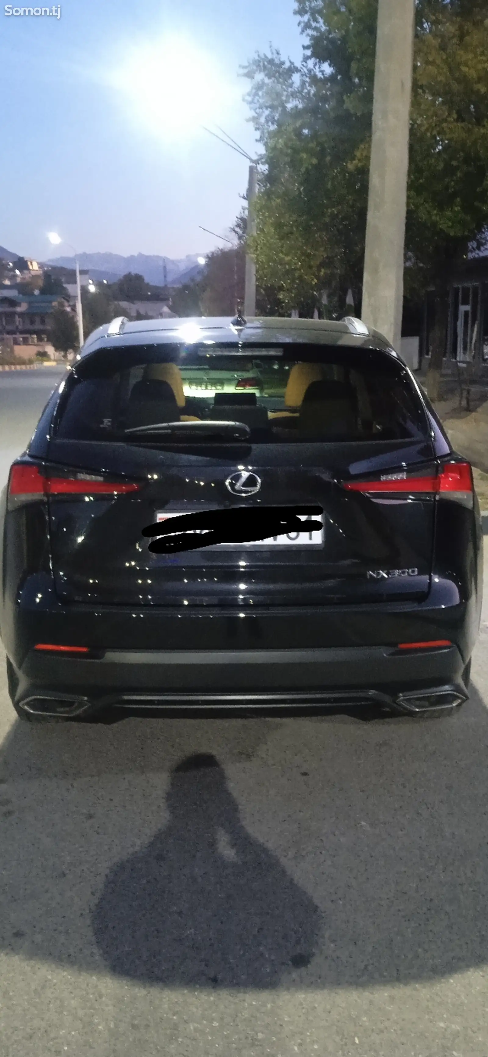 Lexus NX series, 2019-1