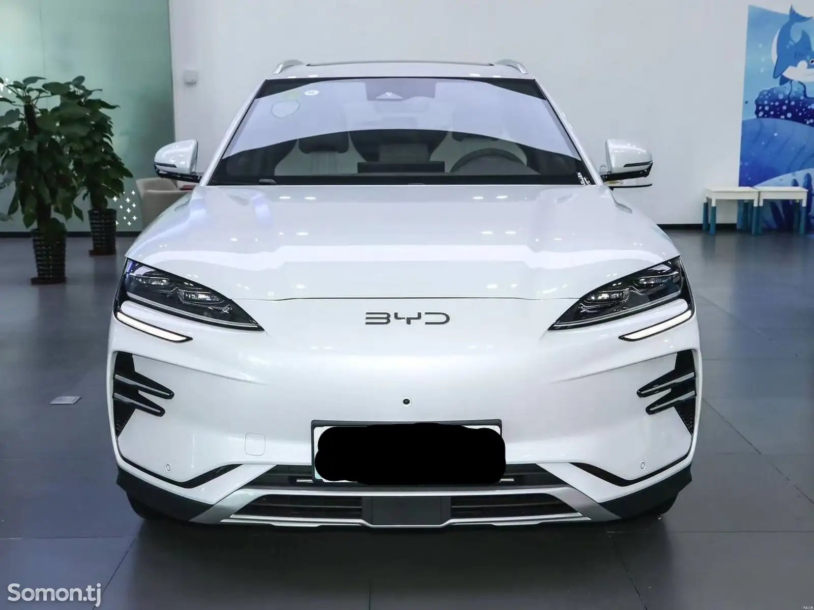 BYD Song Plus, 2024-1