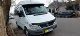 Mercedes-Benz Sprinter, 2006-4