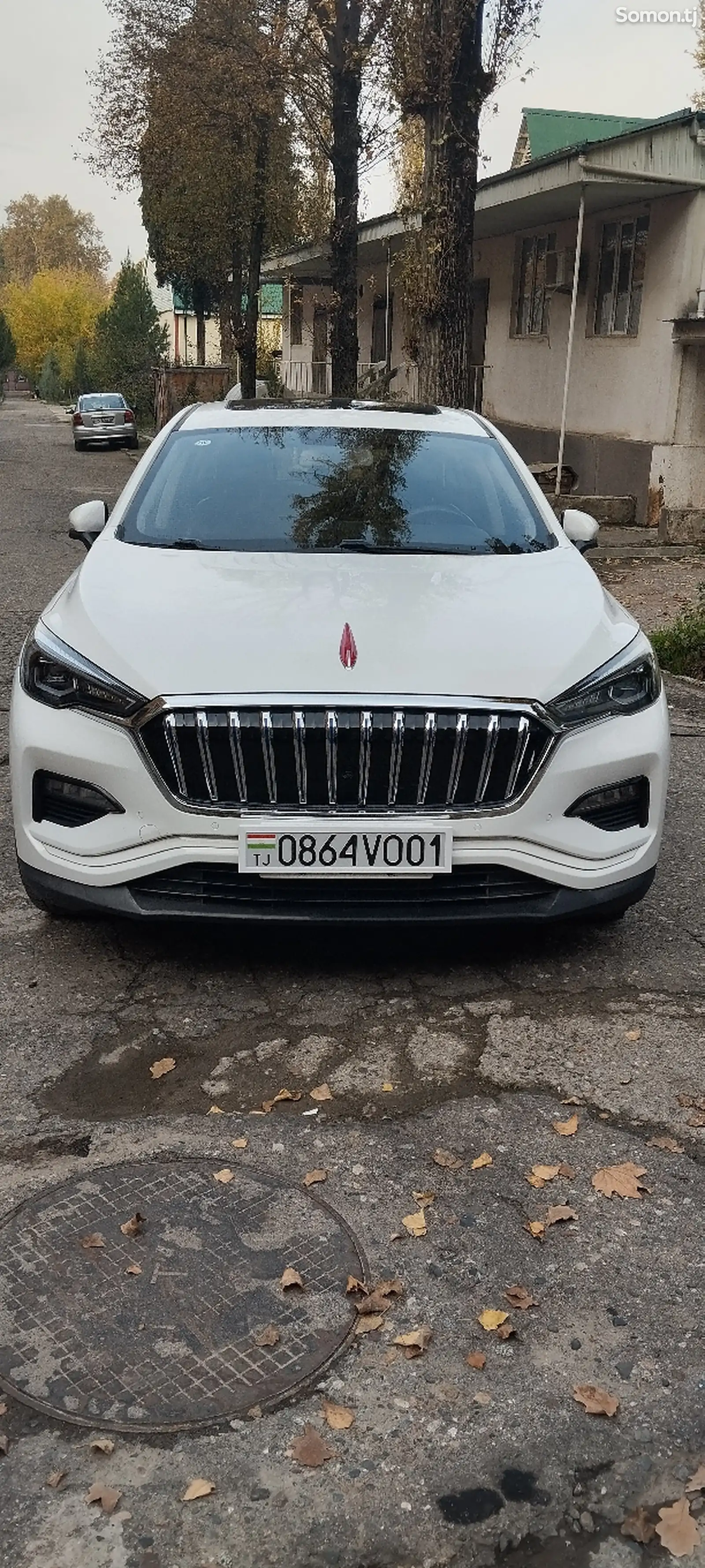 Hongqi HS3, 2019-1