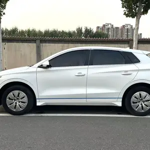 BYD E2, 2021