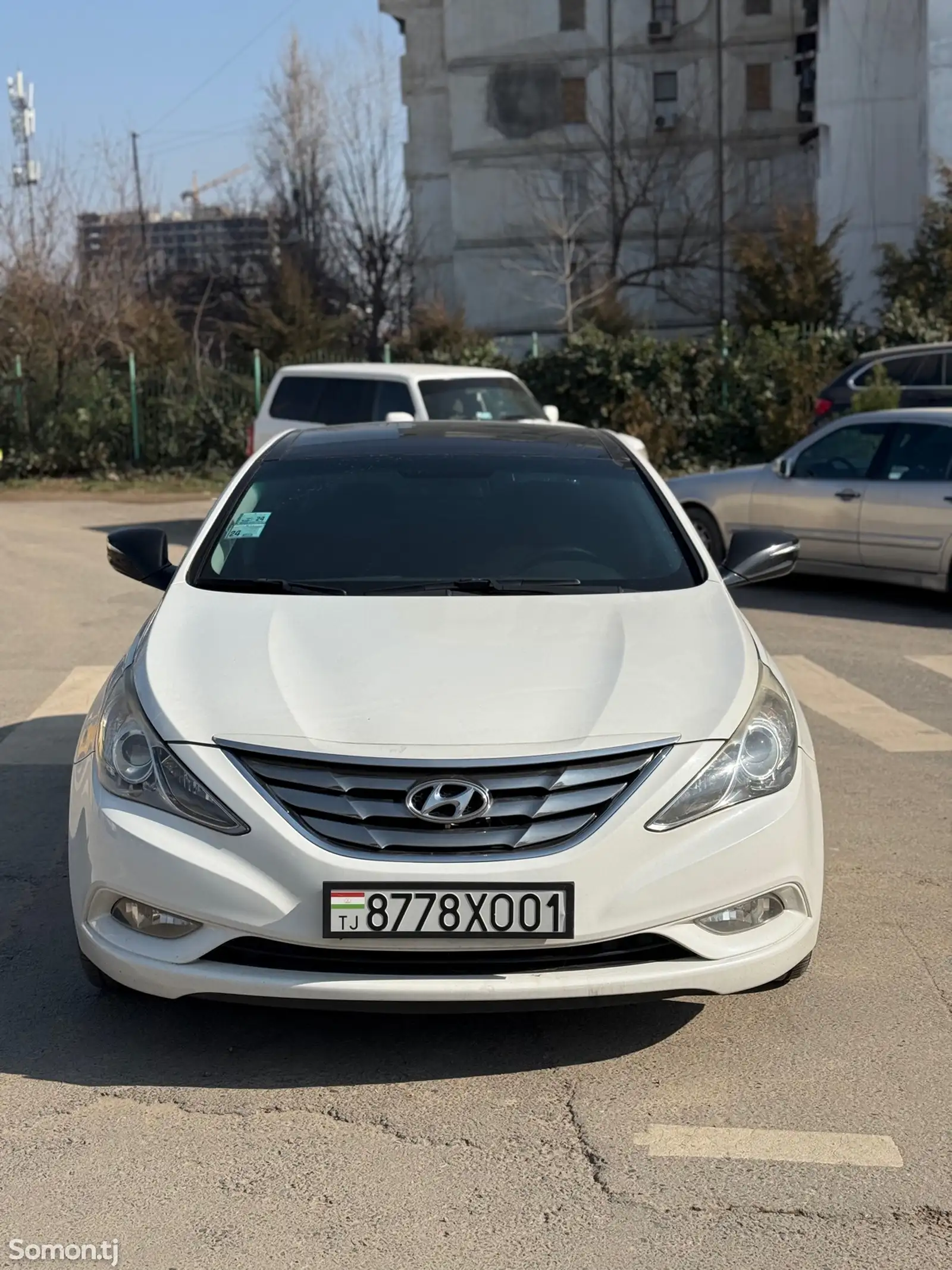 Hyundai Sonata, 2010-1