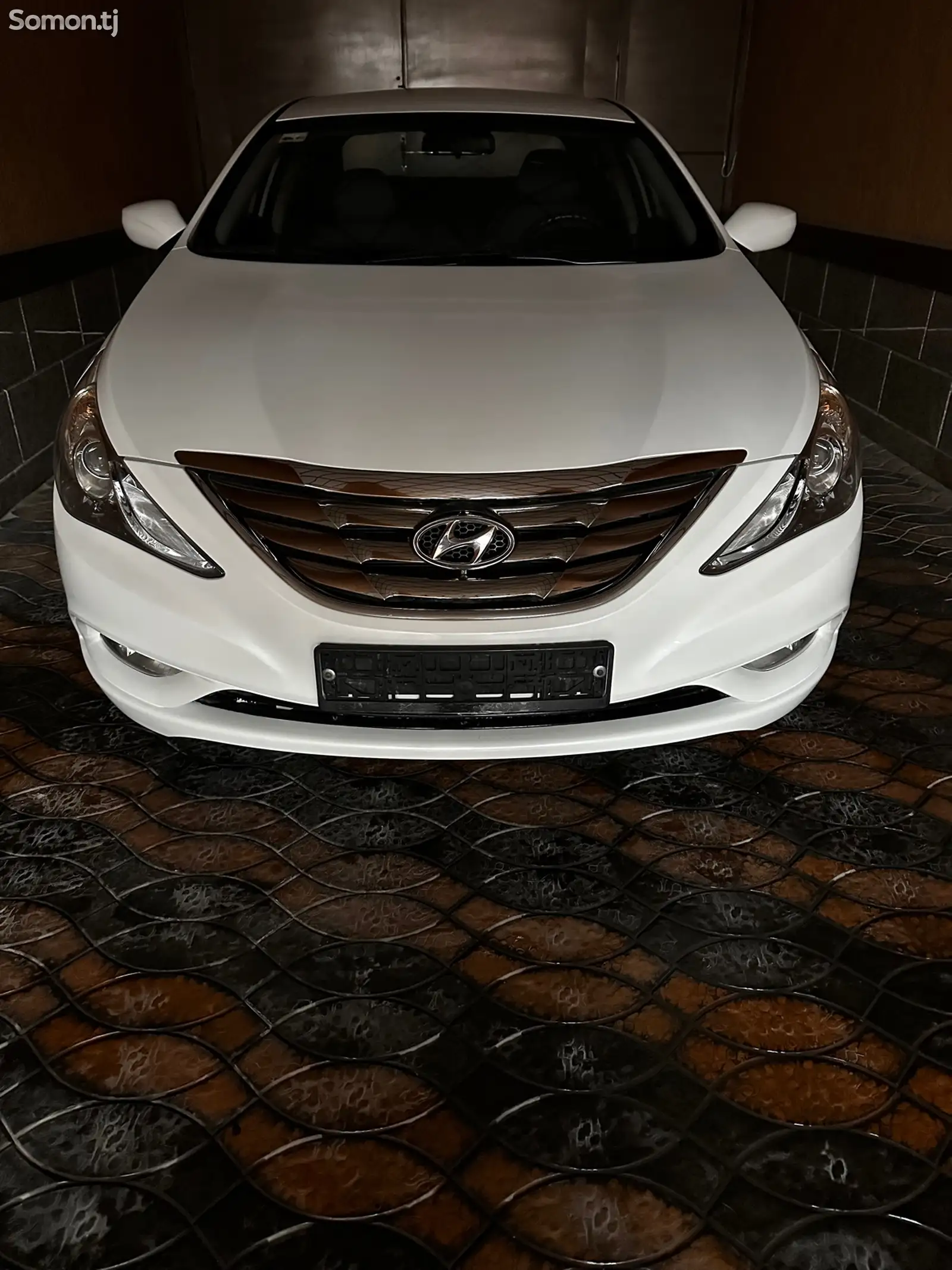 Hyundai Sonata, 2010-1