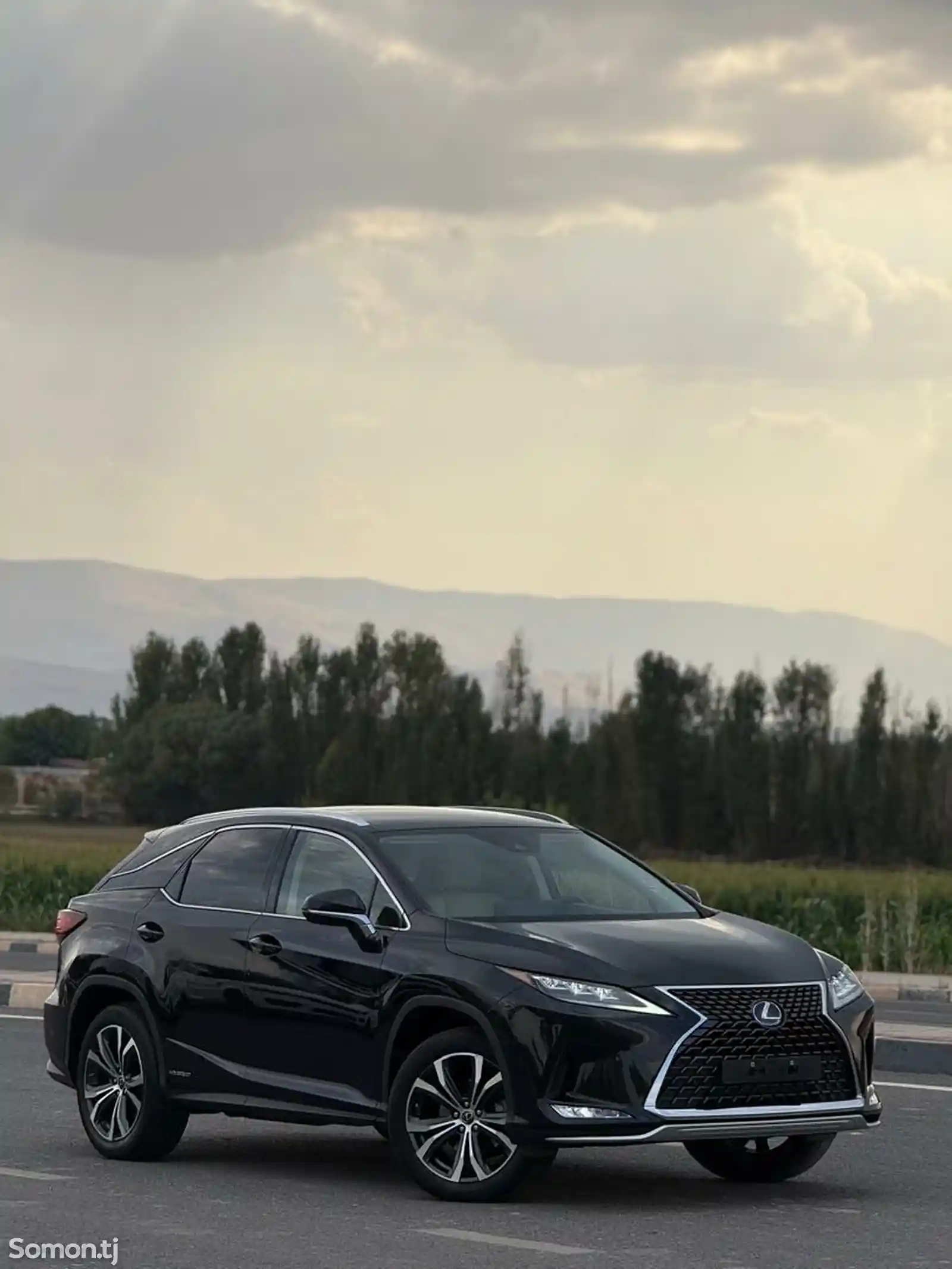 Lexus RX series, 2022-6