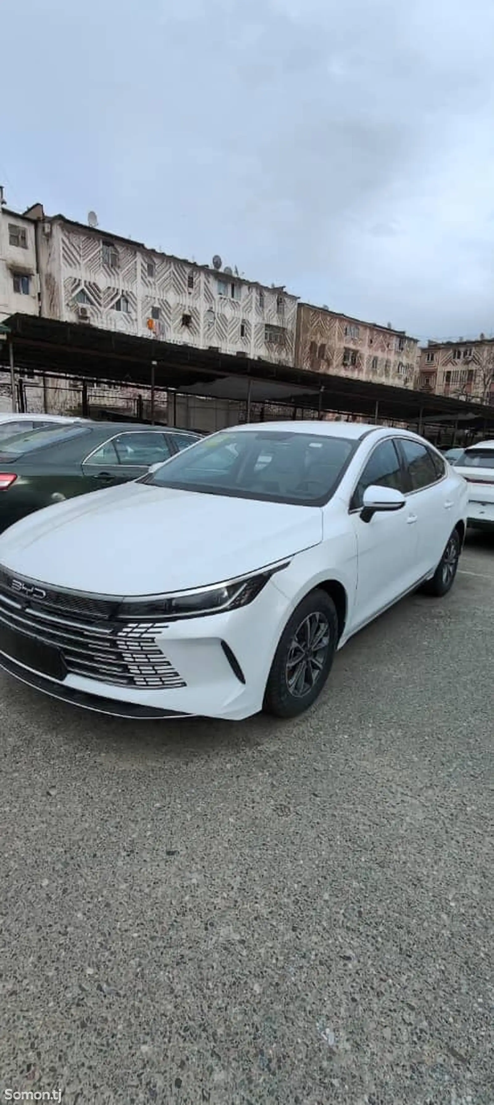 BYD Song Plus Flagship, 2024-1