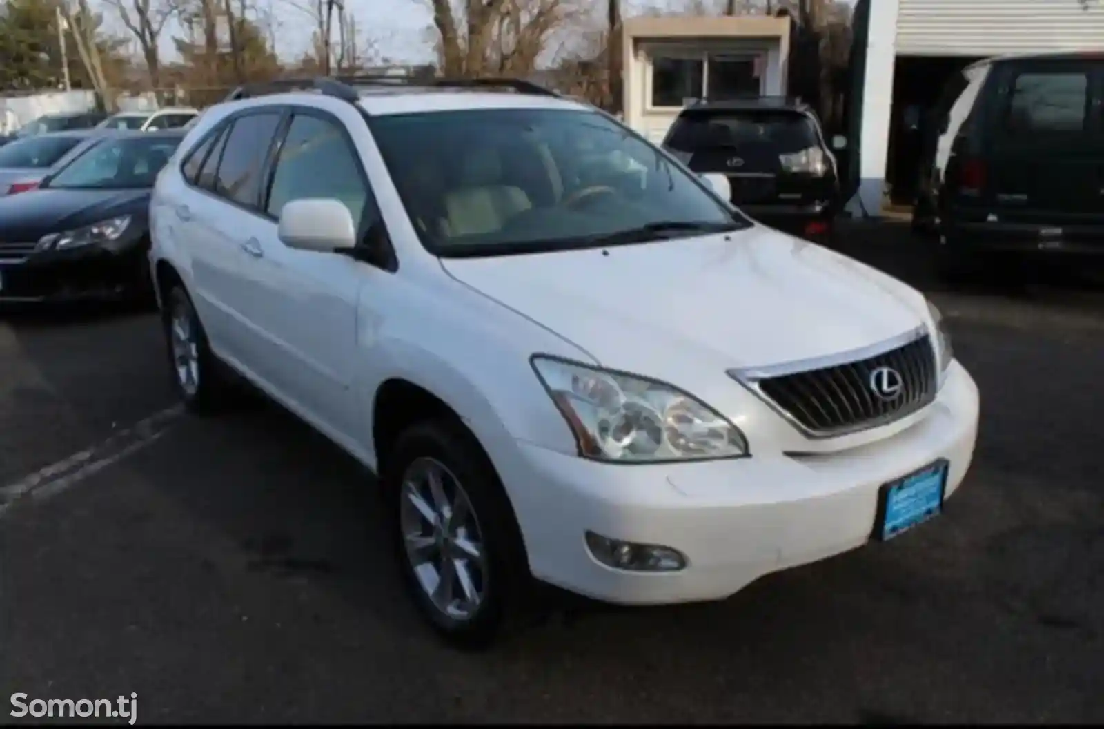 Защита заднего бампера на Lexus RX 2008-2