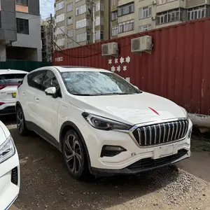 Hongqi E-HS3, 2019