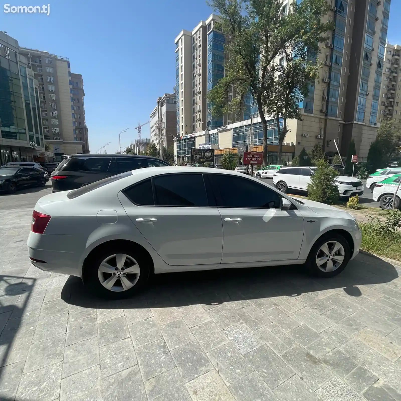 Skoda Octavia, 2019-3