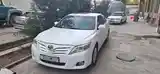 Toyota Camry, 2010-5