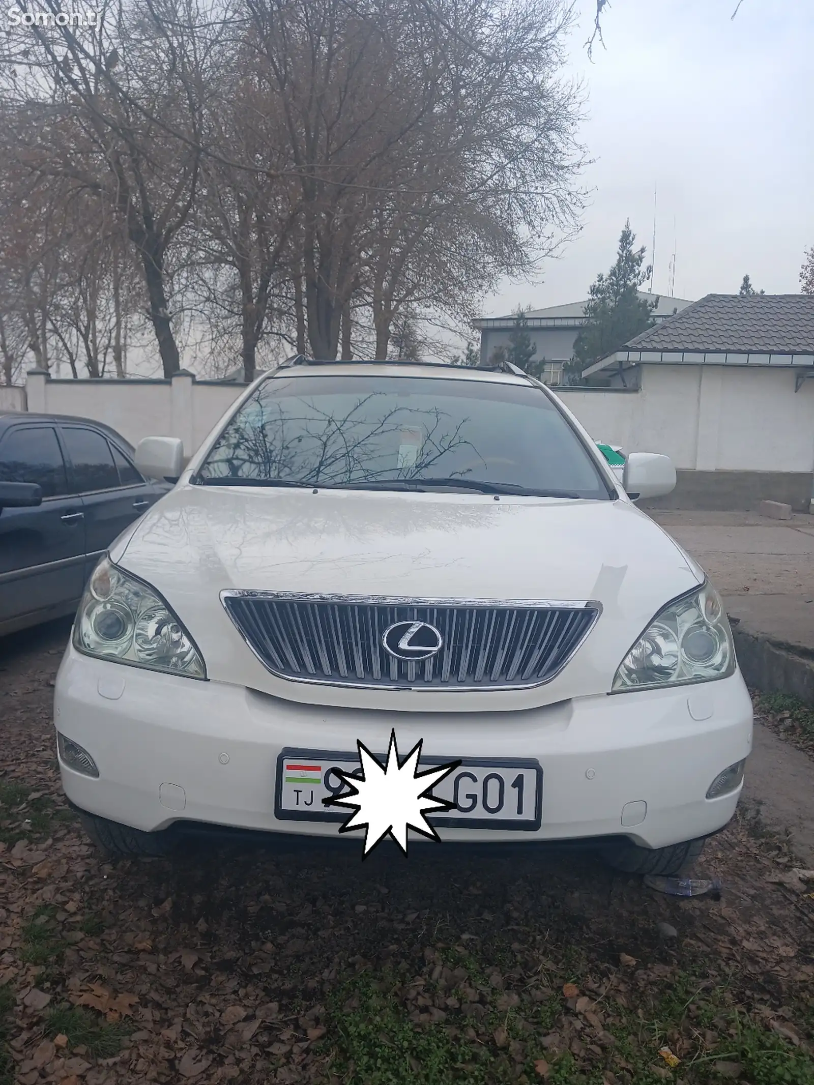 Lexus RX series, 2007-1