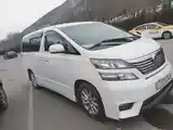 Toyota Alphard, 2009-4