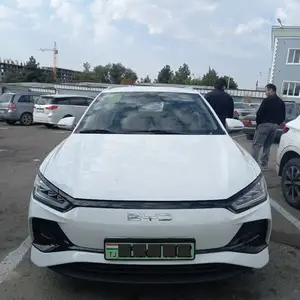 BYD E2, 2024