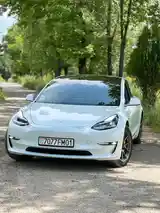 Tesla Model 3, 2020-2