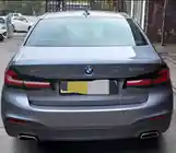 BMW 5 series, 2019-3