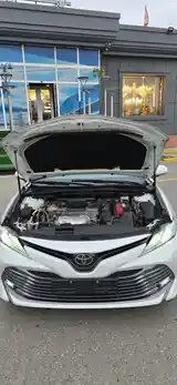 Toyota Camry, 2019-11