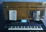 Синтезатор Korg pa800 elite-7