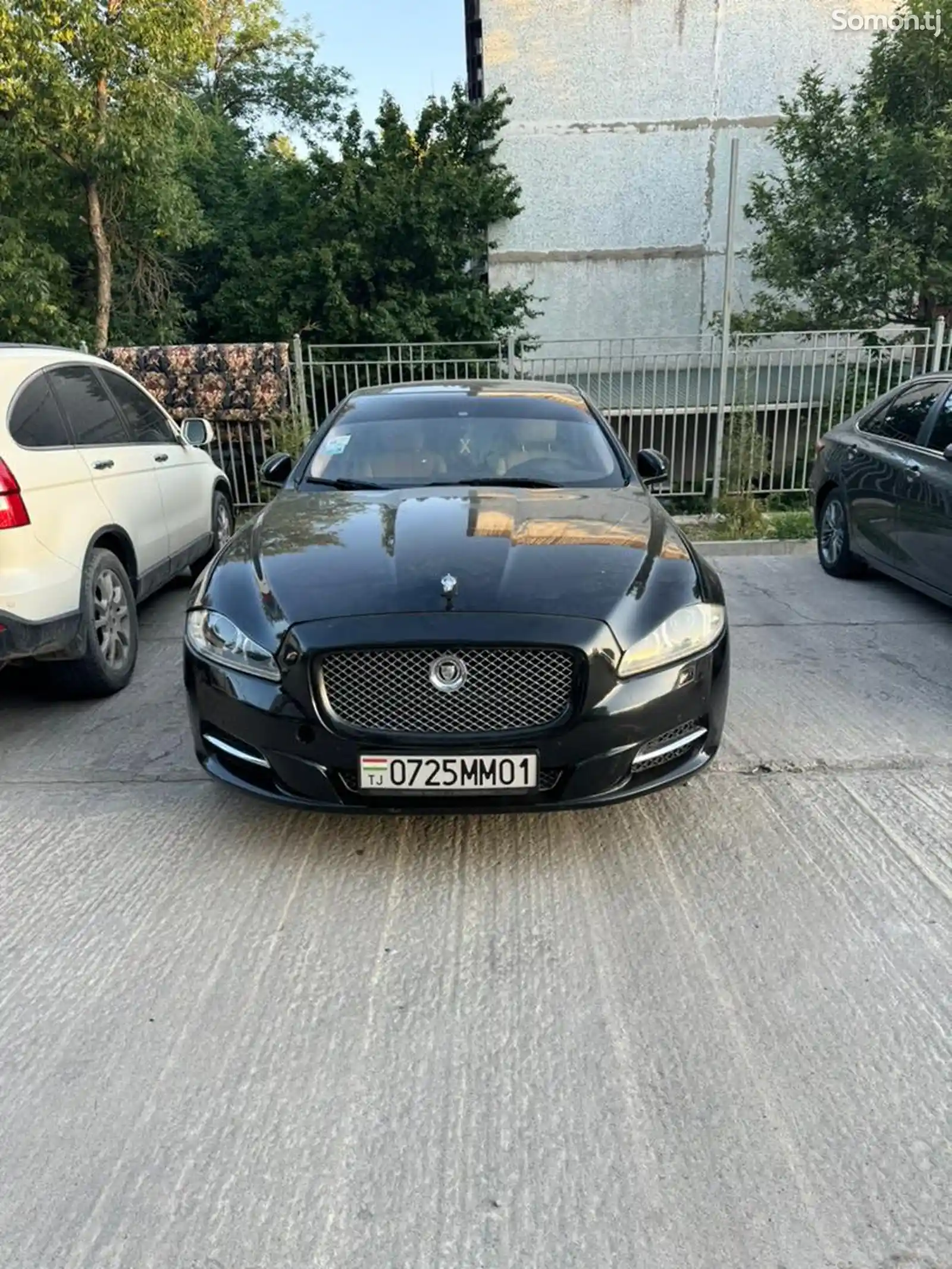 Jaguar, 2010-2