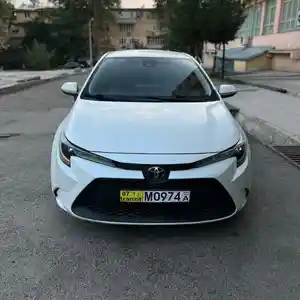 Toyota Corolla, 2020